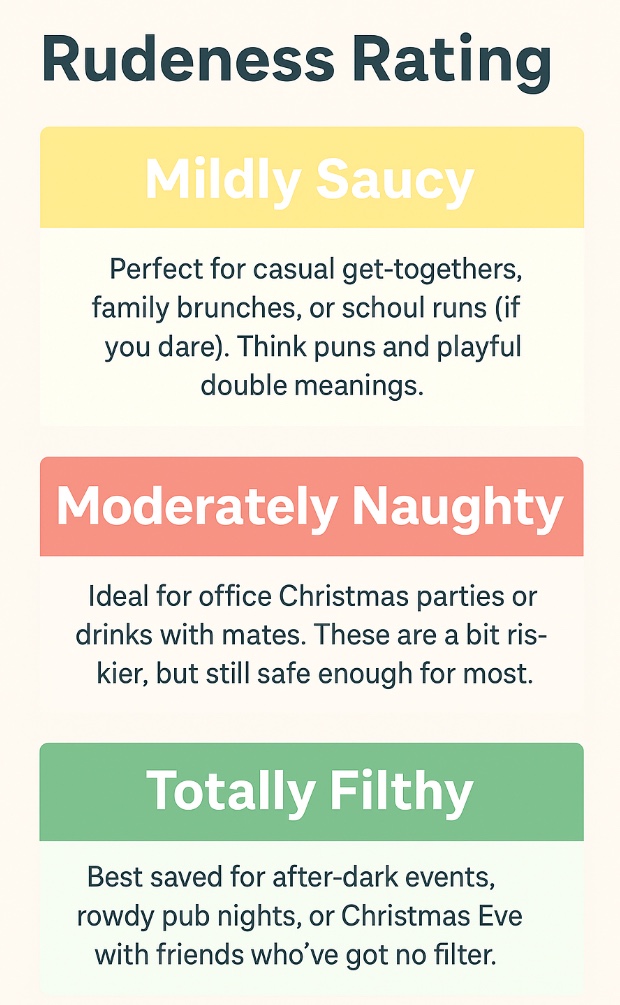 Rude Christmas Jumpers 13 Christmas Jumper Rudeness Rating